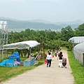 さくらんぼ山観光農園