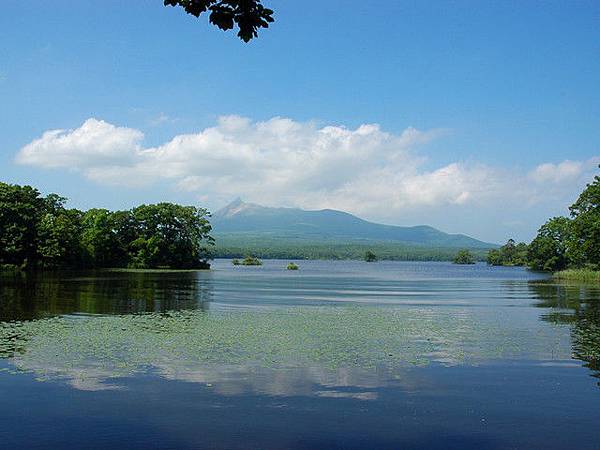 大沼公園湖畔美景