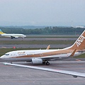 ANA 黃金737