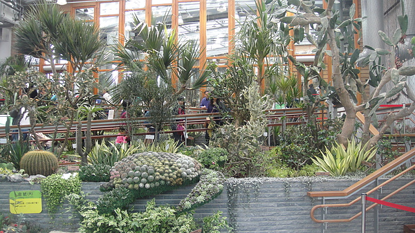 未來館的熱帶植物區