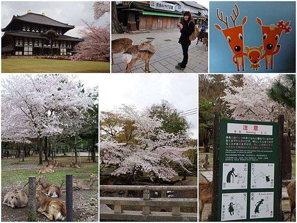 東大寺