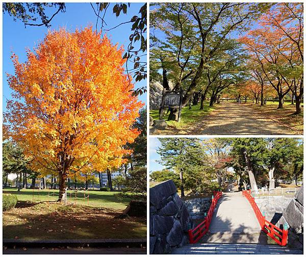 盛岡城跡公園2.jpg