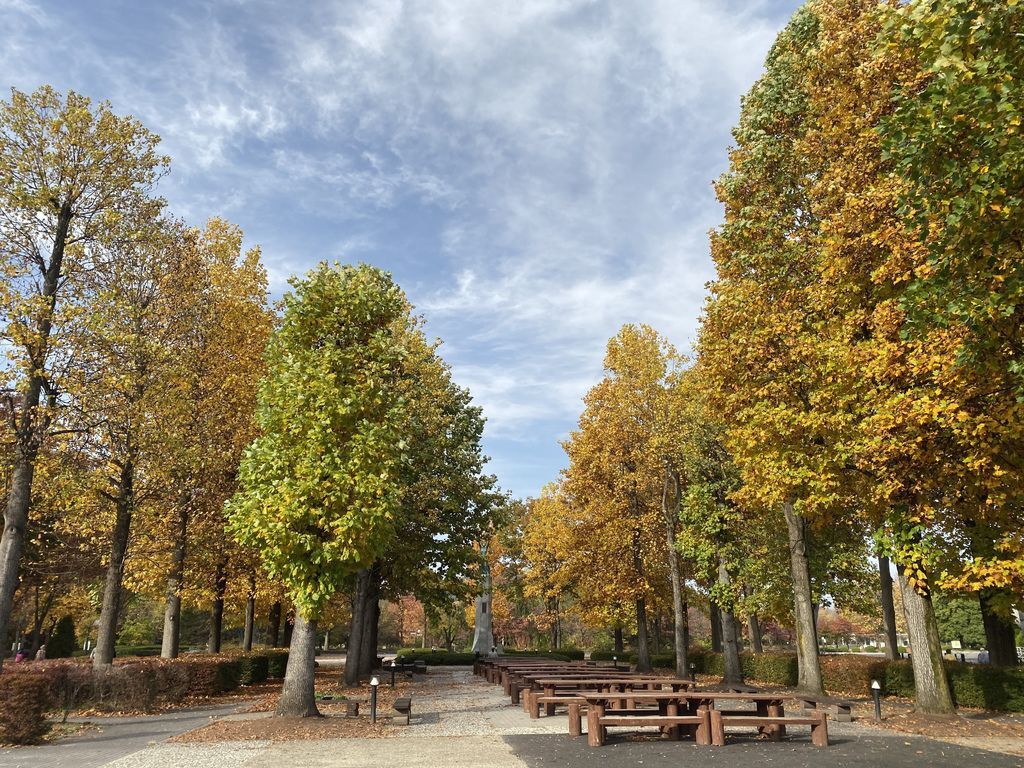 山形縣綜合運動公園2.JPG