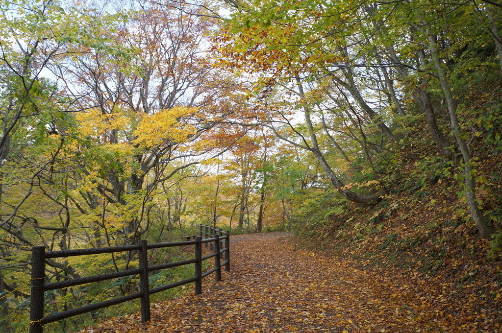 大深澤遊步道.JPG