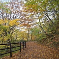 大深澤遊步道.JPG