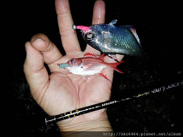 15-09-04-23-12-31-915_photo.jpg 15-09-04-23-12-31-915_photo.jpg