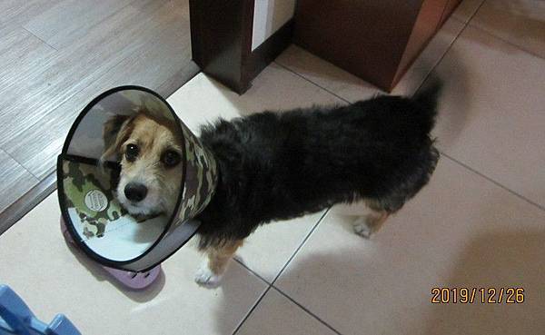 20191226.jpg 20191226.jpg