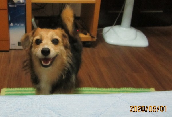 20200301.jpg 20200301.jpg