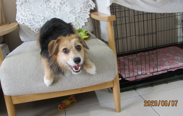 2020060702.jpg 2020060702.jpg