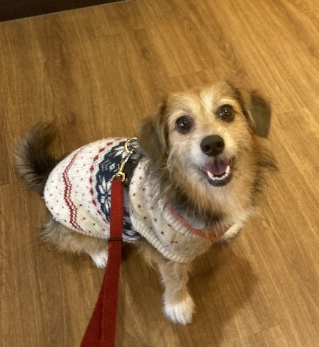 20201018.jpg 20201018.jpg