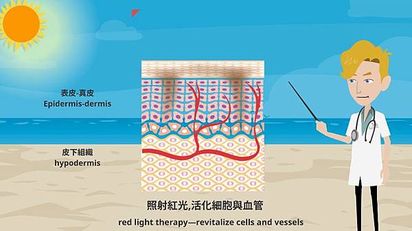 照射紅光活化細胞與血管.jpg