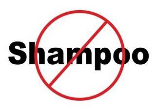 no-shampoo.jpeg