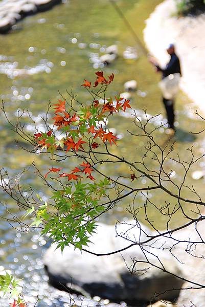 京都比叡山