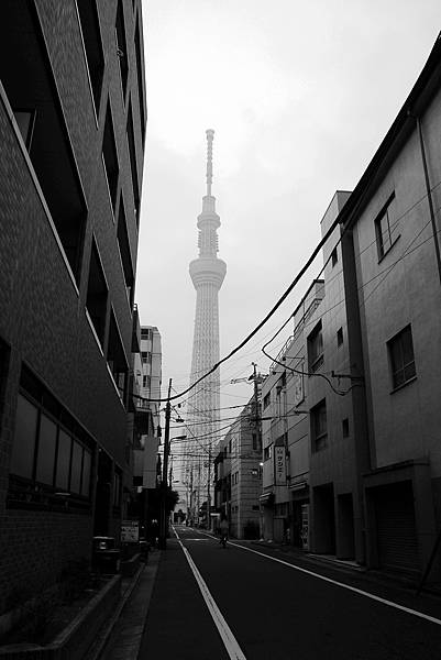 東京2014 120~1.jpg