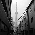 東京2014 120~1.jpg