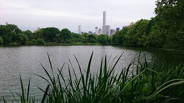 中央公園 中央公園