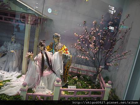 P1110023 P1110023