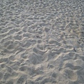 細白的沙灘----真的好久沒有踏過了