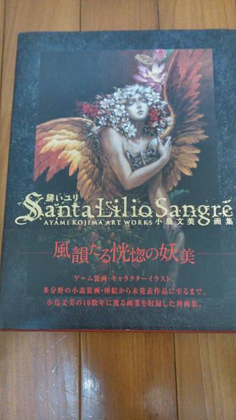 Santa Lilio Sangre緋いユリ―小島文美画集