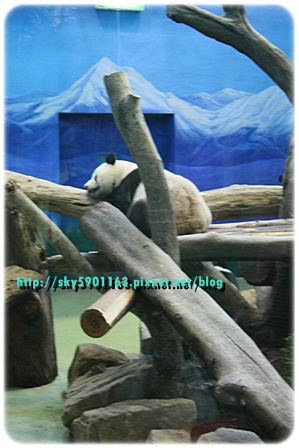 帶勇之助逛動物園36-2009.10.26.JPG