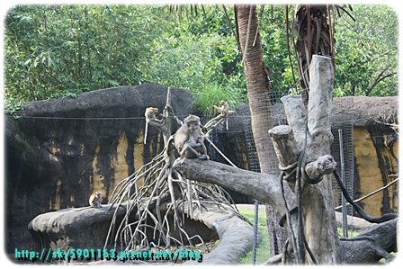 帶勇之助逛動物園51-2009.10.26.JPG