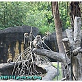 帶勇之助逛動物園51-2009.10.26.JPG