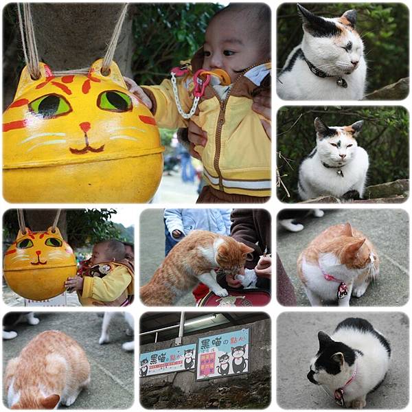 猴硐＆貓村11-2010.10.31.jpg