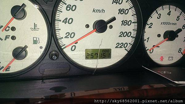 IMAG1735 IMAG1735