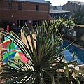 coffs harbour yha_181108_0015.jpg