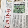 水雉.jpg