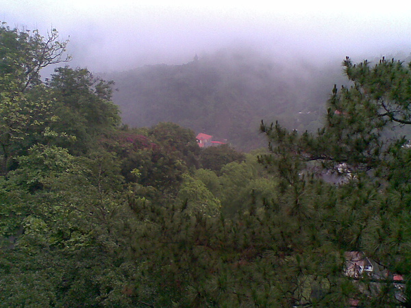 20100603(008).jpg