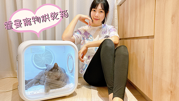 烘毛神器【霍曼寵物烘乾箱】寵愛主子專屬，來幫主子做個SPA吧