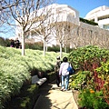 Getty Center花園通道的大蒜