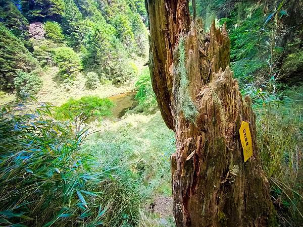 60af0afcea3ae.jpg 60af0afcea3ae.jpg