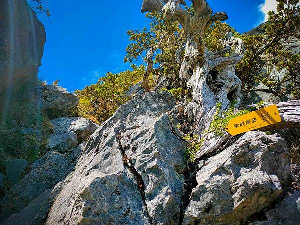 60af0f09b4a3e.jpg 60af0f09b4a3e.jpg