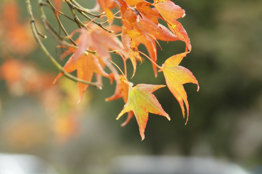 5bf25a54f1735.jpg 5bf25a54f1735.jpg