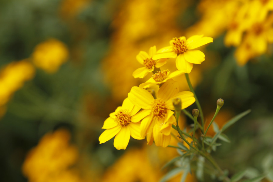 5bf25a191a30a.jpg 5bf25a191a30a.jpg