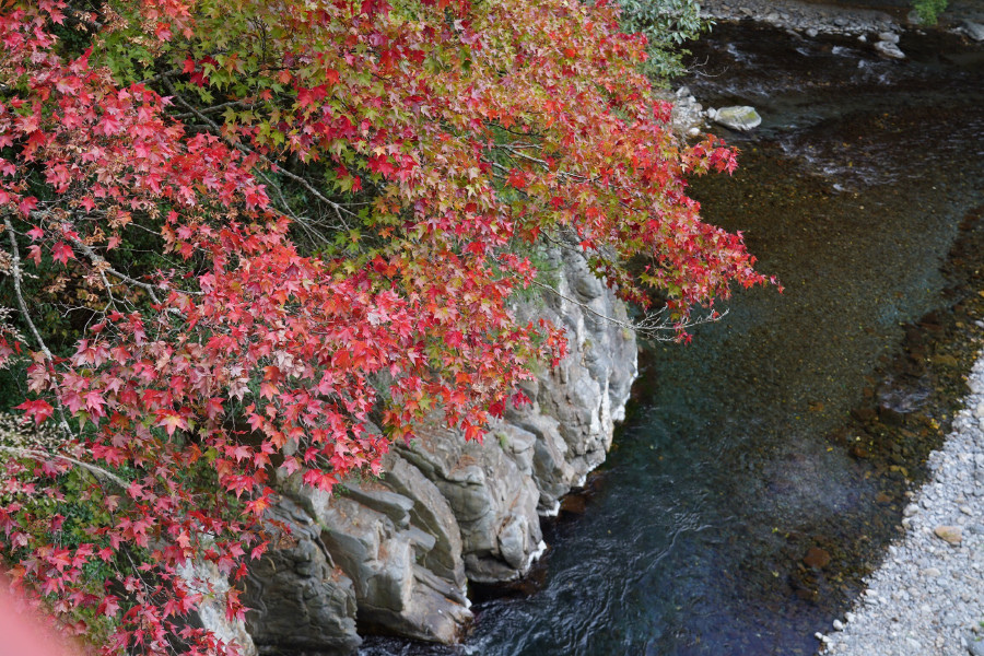 5bf2a2961c26d.jpg 5bf2a2961c26d.jpg