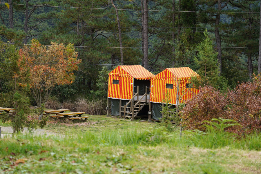 5bf25b3f8cdb6.jpg 5bf25b3f8cdb6.jpg