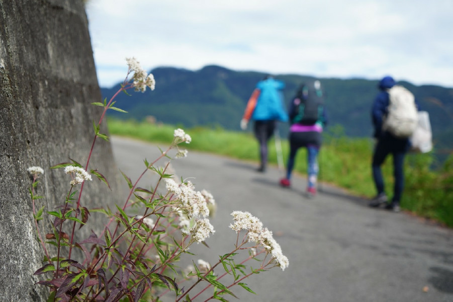 5bf25f2cc66fa.jpg 5bf25f2cc66fa.jpg