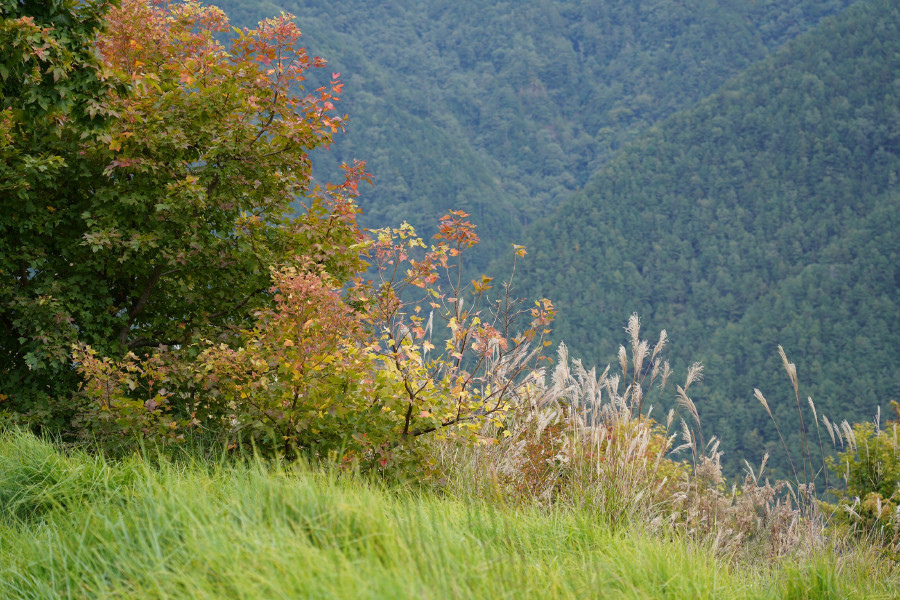 5bf25c114bae9.jpg 5bf25c114bae9.jpg