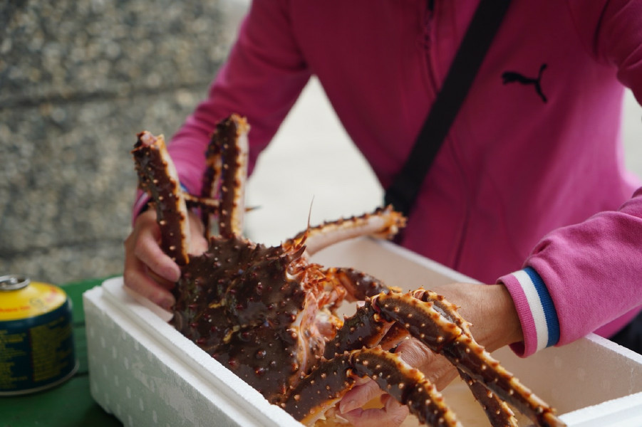 5bf25f575531b.jpg 5bf25f575531b.jpg