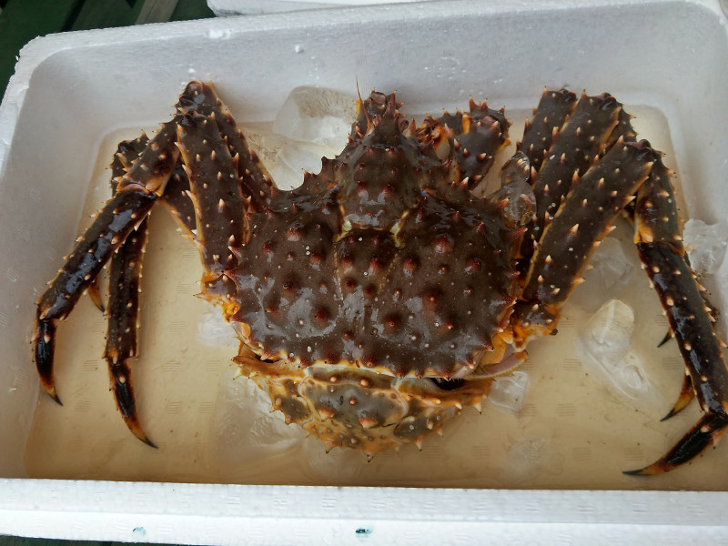 5bf264a40e0fd.jpg 5bf264a40e0fd.jpg