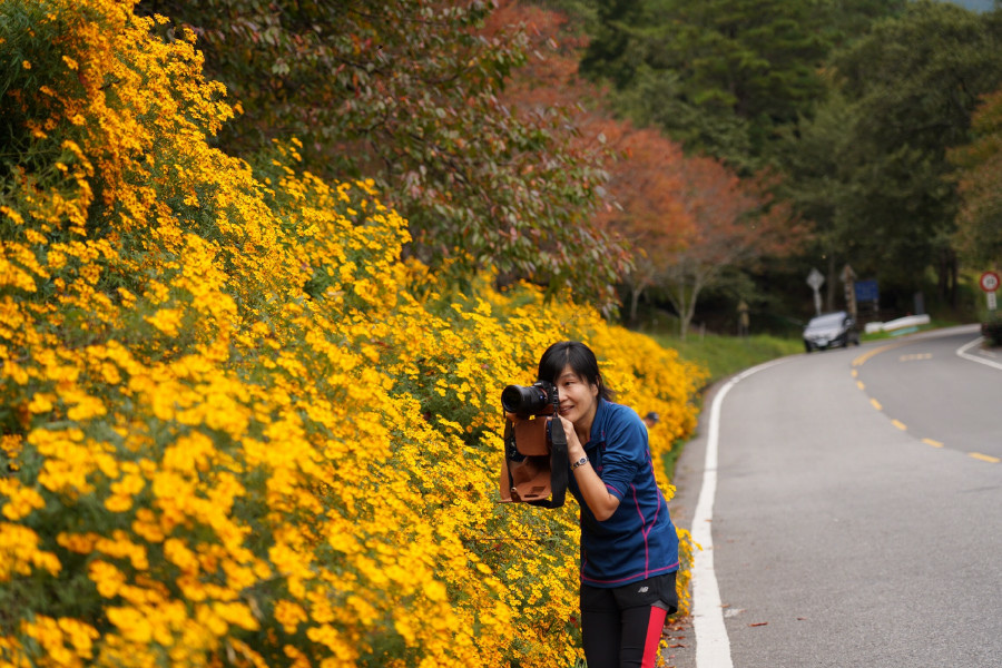 5bf253af6091d.jpg 5bf253af6091d.jpg