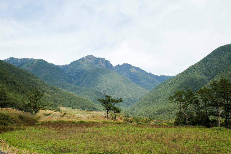 5bf371ce54fb3.jpg 5bf371ce54fb3.jpg