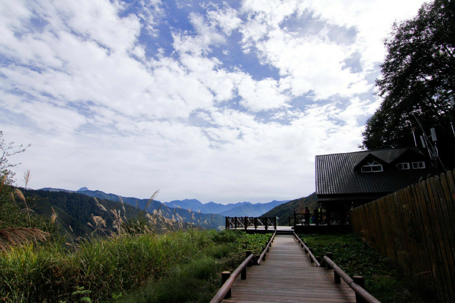 5bf3741fdaa97.jpg 5bf3741fdaa97.jpg