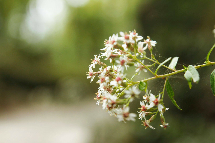 5bf37116b254c.jpg 5bf37116b254c.jpg