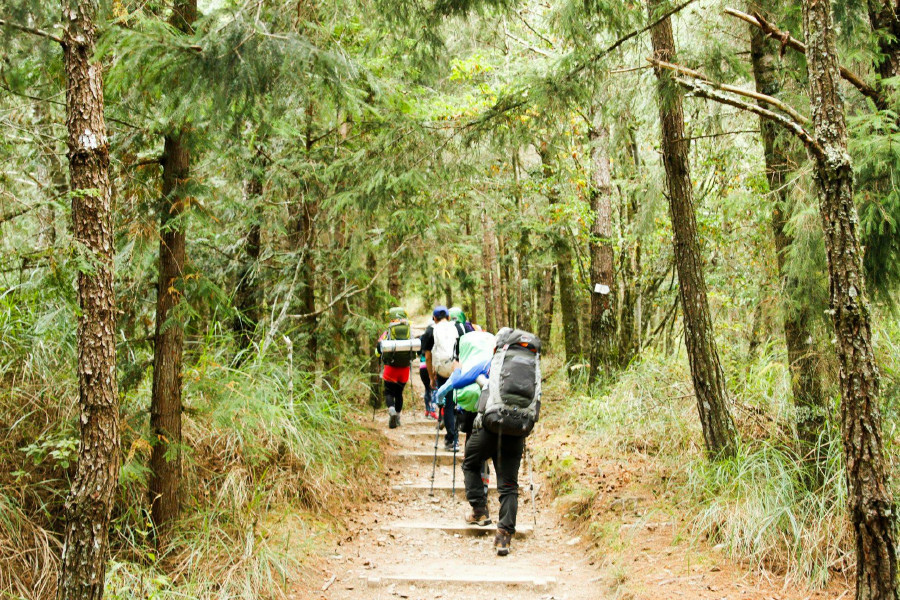 5bf377a2821a9.jpg 5bf377a2821a9.jpg