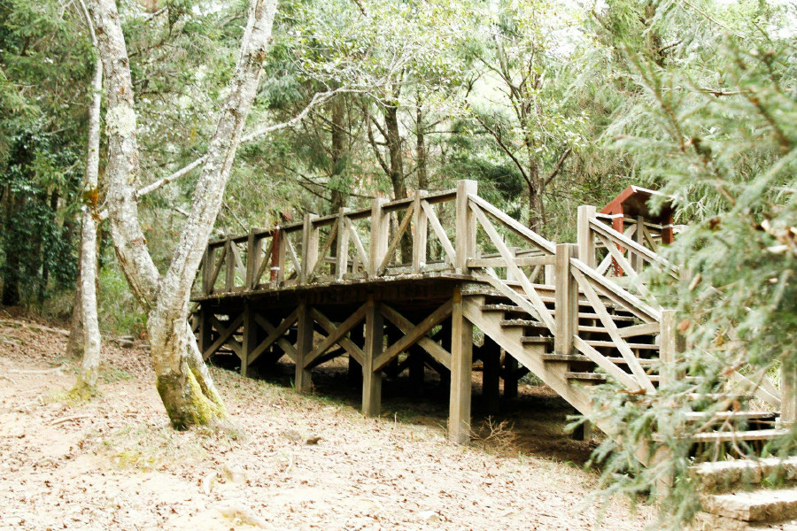 5bf3775faa746.jpg 5bf3775faa746.jpg