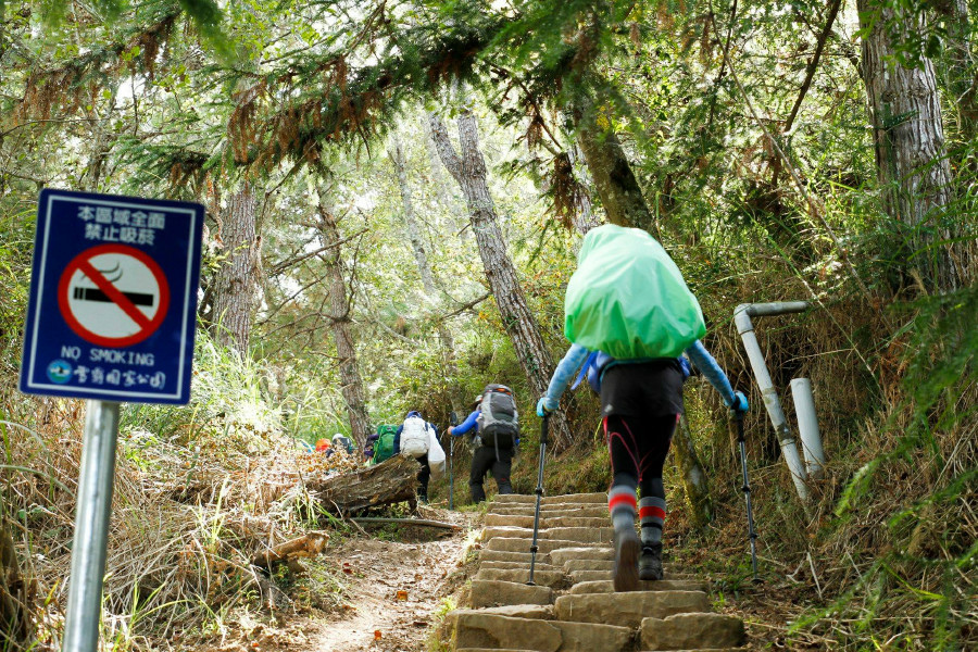 5bf37642daf25.jpg 5bf37642daf25.jpg